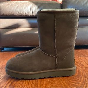 Classic Short Chocolate UGG boots
